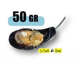 Moule de Brest - Tenya - Porte appât