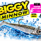 Biggy Minnow - Leurres souples | Pêche aux Loup, Bar