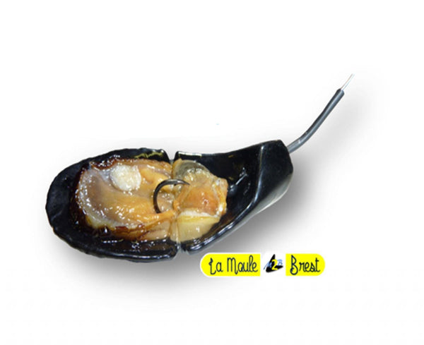Moule Plateau- Tenya - Porte appât — leurre souple artisanal Frenchy Leurres