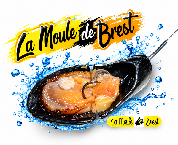 Moule Plateau, tenya porte-appât pour la daurade et le sar – Frenchy Leurres